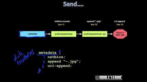 【字幕版】Red Team Ops with Cobalt Strike 3 of 9  C2