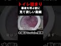 トイレ詰まりラバーカップの正しい使い方 #配管 #工具 #diy