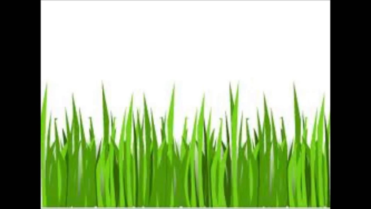 Blade Of Grass YouTube