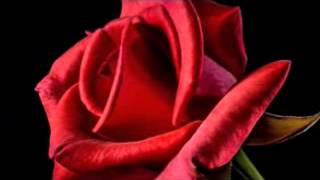 Hazırlayan Türk Oglu Sensiz Yaşıyorum Sanma