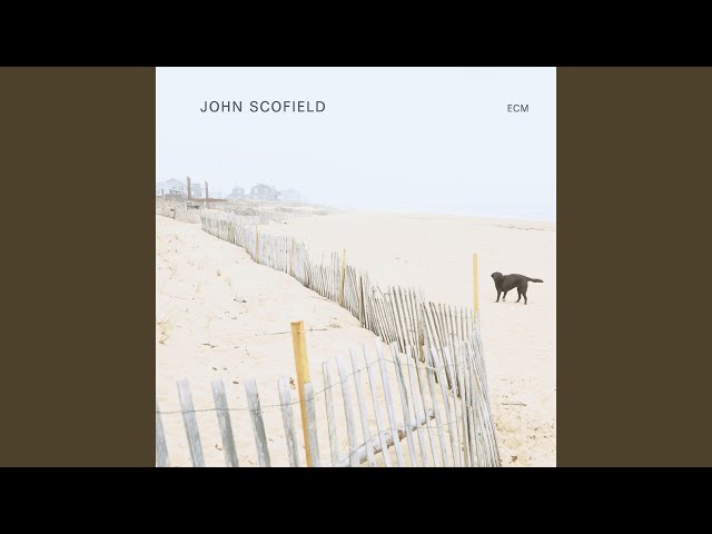 John Scofield - Trance De Jour