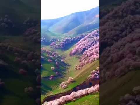 Surga dunia - YouTube