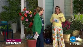 Leaf   Petal 4piece Butterfly Candy Bushes with Fertiliz...