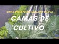 Como Criar Peixe em Caixa D'Água - Parte 3 - CAMAS DE CULTIVO