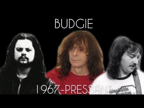 EVOLUTION OF BUDGIE