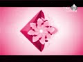 حصريا و لأول مرة فاصل قديم قناة أبوظبي دراما نااااااادددددررررر 2010 الوصفين