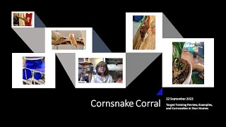 Cornsnake Corral Ep 3 for 22 Sept 2022: Let's Talk Target Training