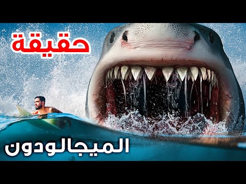 فيديو: هل تعض أسماك القرش المجرفة؟