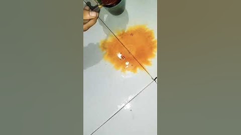 Experiment 🧪 to show #tumeric #haldi as a a natural #Indicator...! #red# colour in #detergent (base)