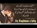 Cousin marriage  age difference based  ay baghban e ishq  s shah  complete premium novel
