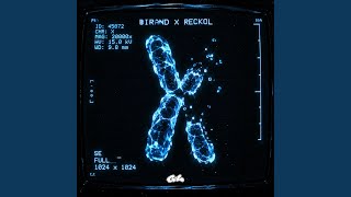 Kromozom - birand & reckol