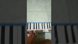pakistan x stoberi mangga apel