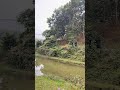 গারো পাহাড়ের ঢালে #nature #travel