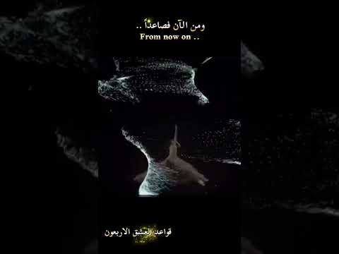 رقصة سما قواعد العشق