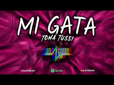 MI GATA (TOMA