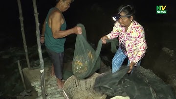 Xổ vuông tôm đêm ở Cà Mau | NTV News