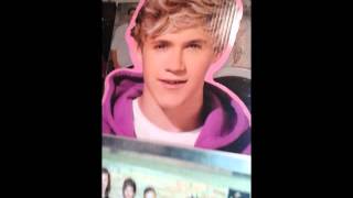 stylest niall horan