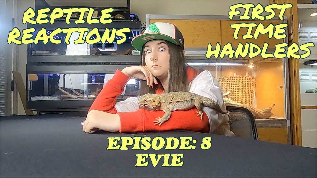 Reptile Reactions! First time reptile handlers with snakes and lizards! Evie has no fear