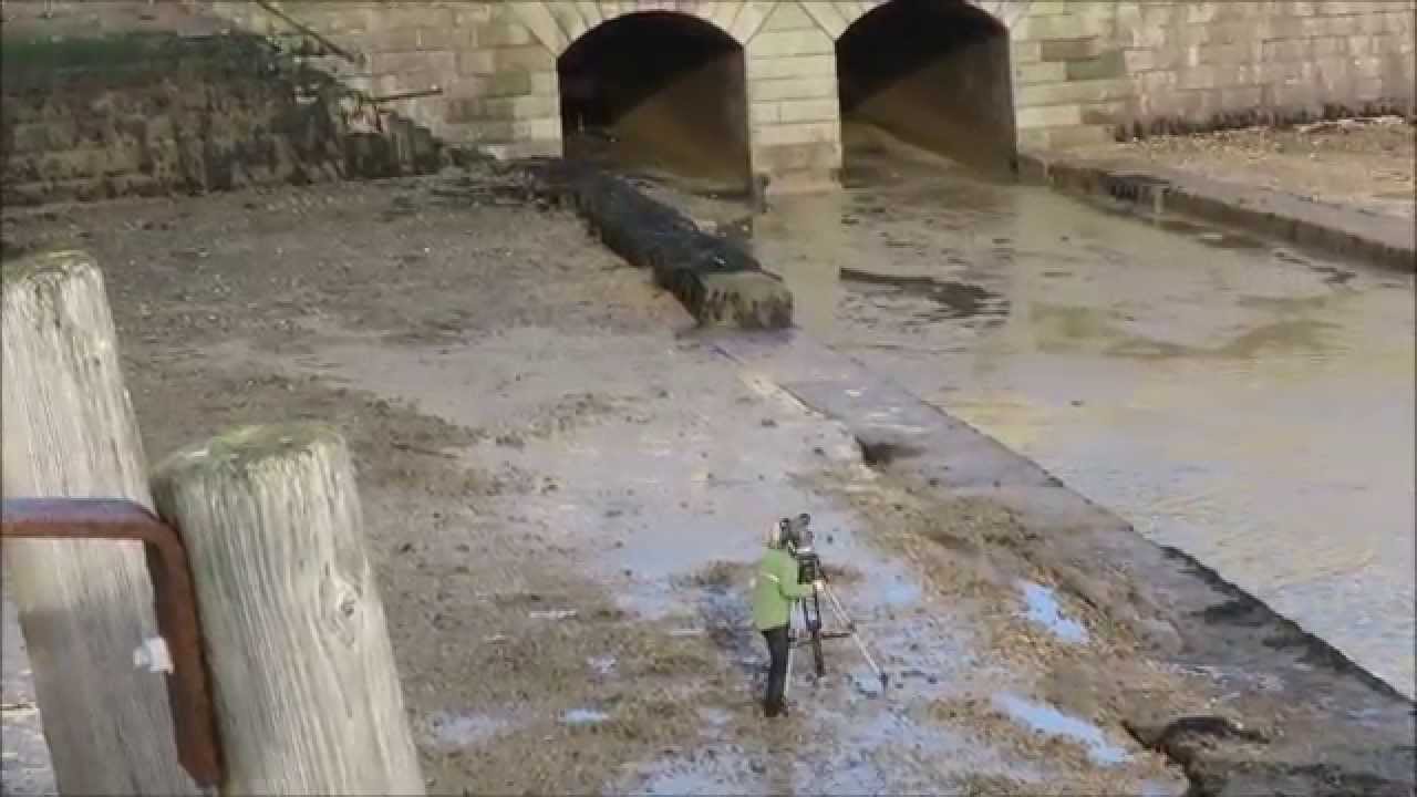 Day One - Searching for the Ramsgate Kingfisher - Winterwatch 2015