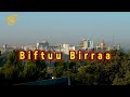 Biftuu Birraa