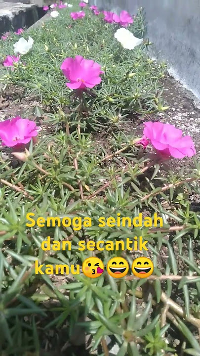 indah nya ciptaan mu ya Allah Aamiin Allahuma Aamiin 🤲🏻🤲🏻