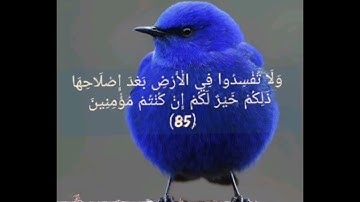 Al-Awar Suresi سورة الأعراف صفحة 161 بصوت هادئ وجميل