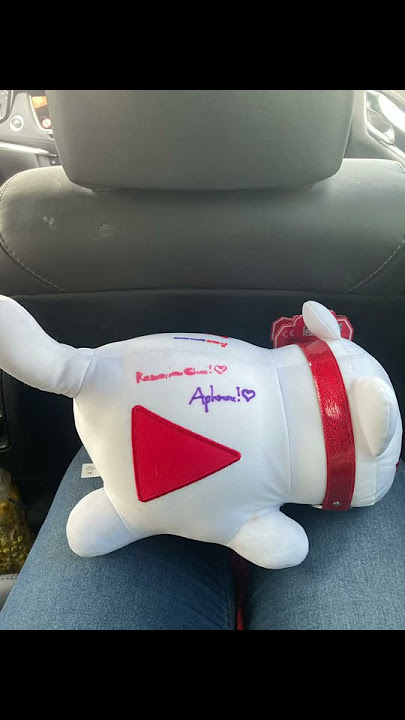 I Got The Aphmau Creator Cat!! *Read Pinned Comment*