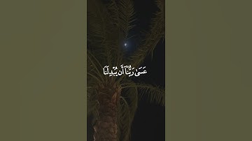 سورة القلم (٣٢)🤍