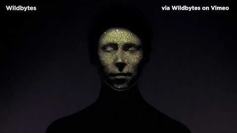 Face Projection Mapping