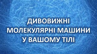 Дивовижні молекулярні машини у вашому тілі [Veritasium]