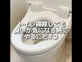 トイレ掃除しても臭いが気になる時にやること4つ!