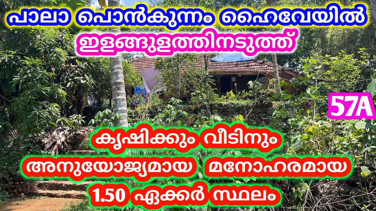 1. 50 𝗔𝗰𝗿𝗲 beautiful land with old house for sale near pala ponkunnam