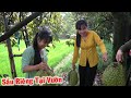 Bất Ngờ ở An Giang cũng có Vườn Sầu Riêng Hái Trái Chín Cây Ăn Tại Chỗ Ngon Ơi Là Ngon - Tập 492