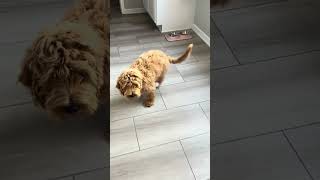 IMG 1820