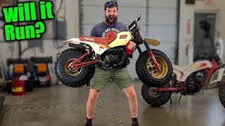 I Bought an 80's TINY  Fat Tire Bike (80cc 2 Stroke)