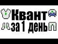 Как сделать КВАНТ за 1 ДЕНЬ [Обзор&Гайд]