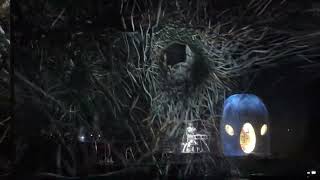 Björk - Features Creatures - Cornucopia Live in Lisbon - 1 Sep 2023