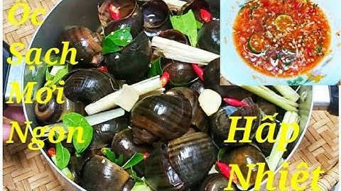 Mẹo Làm Sạch Ốc 100% - ỐC HẤP SẢ LÁ CHANH không cần nước ngọt dai không tanh  || ÂTTT