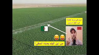 مغربي ذكي يتحدى الجزائريين : من أين أيتم بمياه السقي؟ الحصاد قي الجزائر بالذكاء الاصطناعي