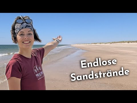 Dänemark Westküste: Urlaub