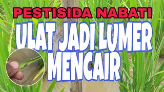 PESTISIDA NABATI