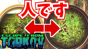 【タルコフ】知ってても見抜けない！woodsキモポジ紹介