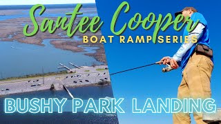 Bushy Park Landing Cooper River Goose Creek SC