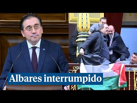 Interrumpen a Albares en el Congreso entre gritos y banderas: "¡Viva el Estado palestino!"