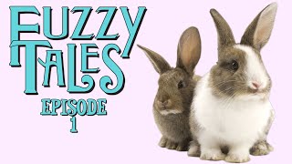 Fuzzy Tales Ep 1 The Princess & The Carrot Snow White & The 7 Dwarf Bunnies Cinderchinchilla