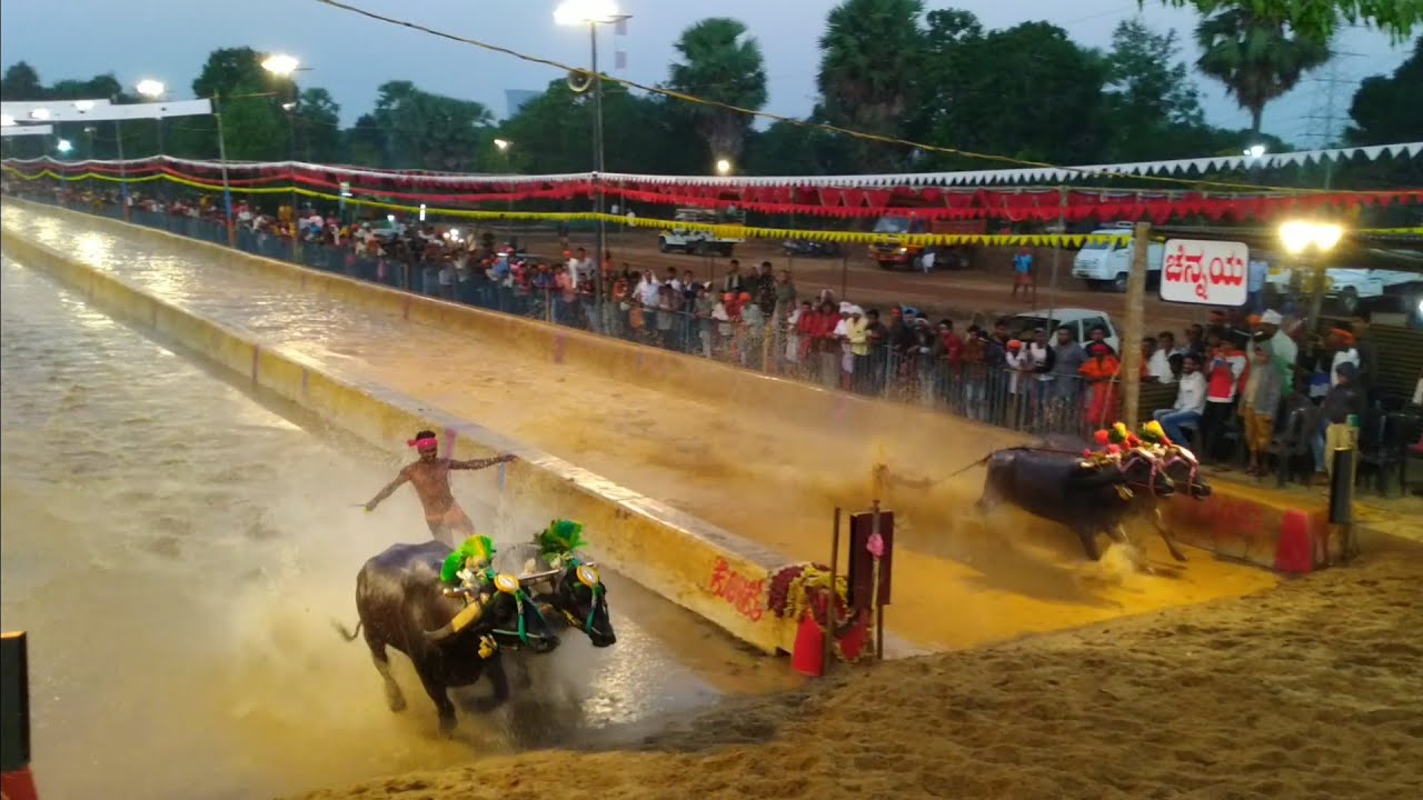 Adve,nandikoor kambala 2019-2020, qtr-final, semi-final &final