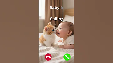 Baby Is Calling Cat Ringtone Funny Catlovers 