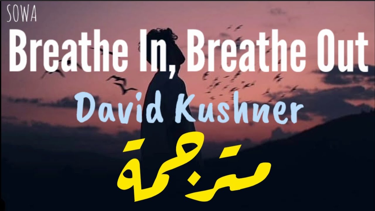 david kushner breathe in breathe out