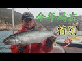 【香港釣魚】《今年馬友特別少》