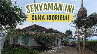 Stay and Farm Hostel | Penginapan murah di Ciwidey